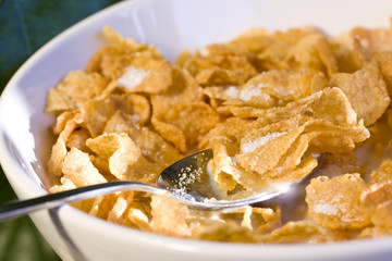 Bowl of cereal in the morning light