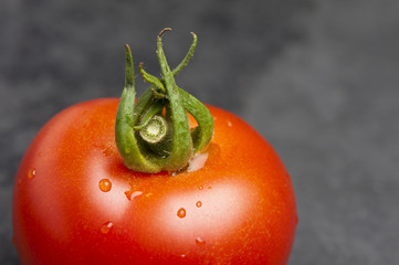 Tomate Close-Up