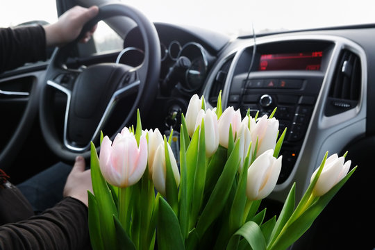 Bunch of white tulips in car