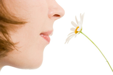 Girl smelling a flower on a white background. - obrazy, fototapety, plakaty