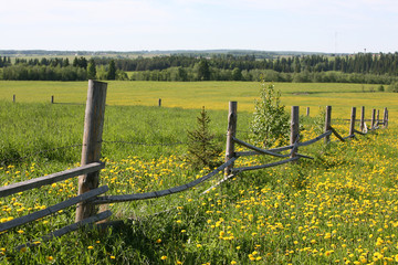 Rural landscape