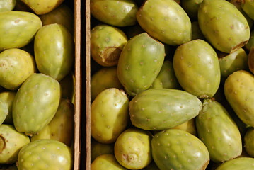 Cactus fruit