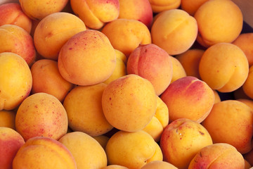 Abricots vrac au marché