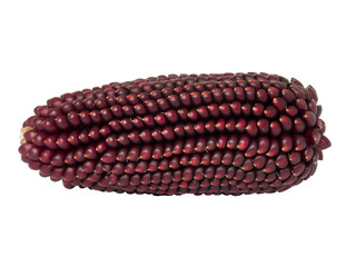 Brown corn