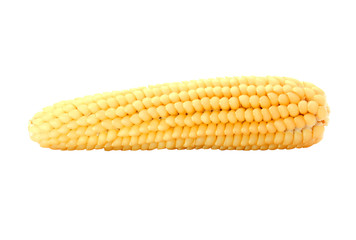Yellow corn