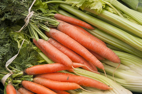 Bottes de carottes et c&egrave;leris au march&eacute;
