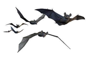 Bats Flying - on White - obrazy, fototapety, plakaty