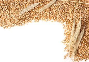 Wheat ears with seeds