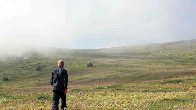 The man goes afar on a grass in fog strips