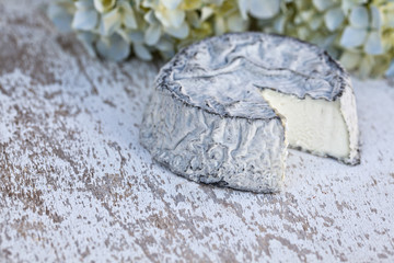 Selles Sur Cher Ziegenkäse
