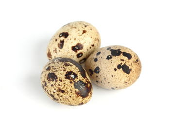 quail egg
