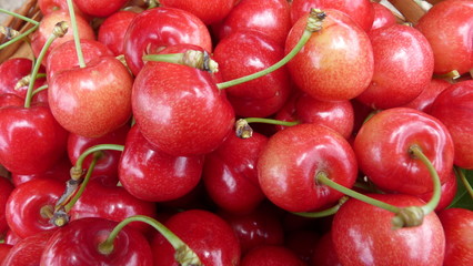 Cherry