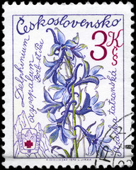 CZECHOSLOVAKIA - CIRCA 1979 Larkspur