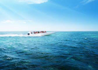 speed boat in Caribbean sea