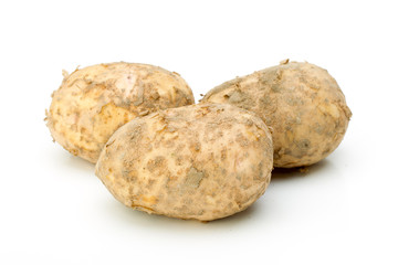 new potatoes isolated on a white background 3