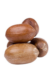 Pecan Nuts