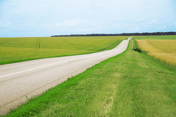 Asphalt road leaving afar and of fields with agriculture plants