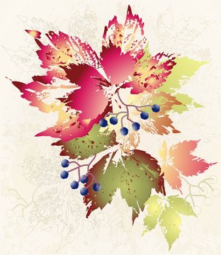 Illustration wild grapes. Autumnal background.