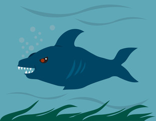 Shark