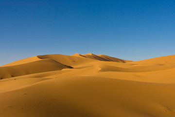 Fototapeta na wymiar Sand dunes in Sahara