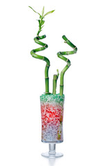 Glass jar with bamboo