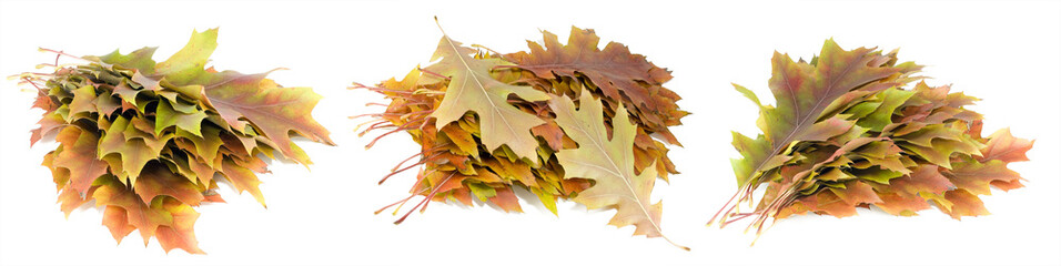 Heaps from autumn leaves