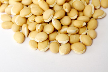 pile soybean on background