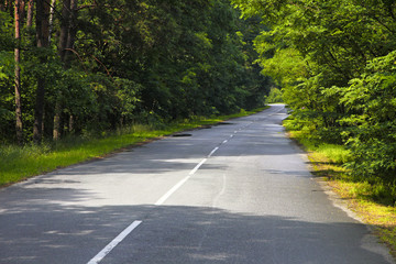 Curve road through the forest