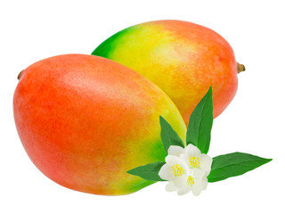Mango isolated on white background