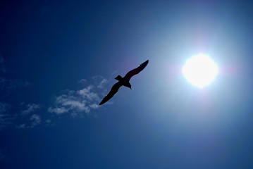 Flying high