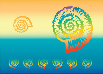Multicolored nautilus