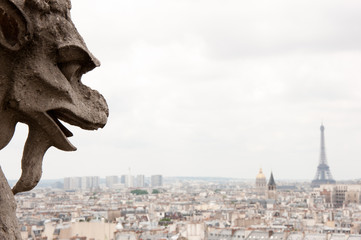 Fototapeta na wymiar View from the Notre Dame, Paris