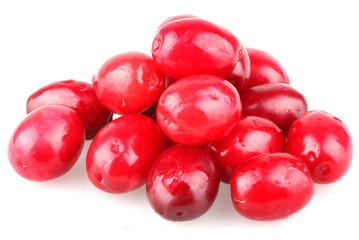 Cornels isolated on a white background