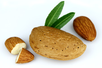Dried almond with kernel
