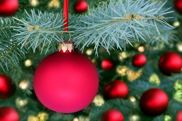 Obraz na płótnie Canvas Christmas evergreen tree and glass balls
