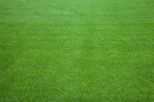 Football green grass background texture.