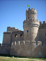 Castillo de Manzanares