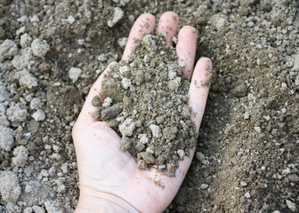 poignée de terreau pour plantation