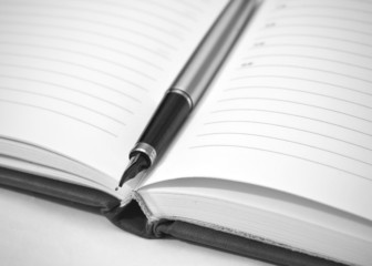 Fountain pen on the open planner