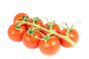 Tomaten