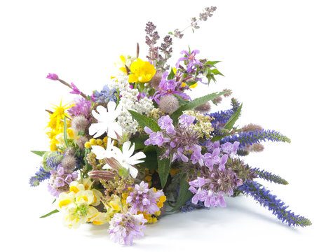 Fototapeta Bunch of meadow herbs