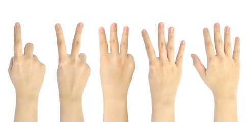 set counting number 1-5 of woman hand