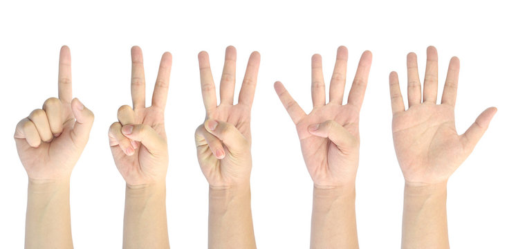 set counting number 1-5 of woman hand