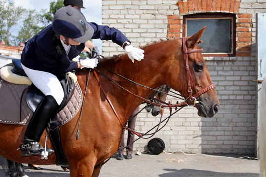 Equestrian sport - the horseman thanks the horse