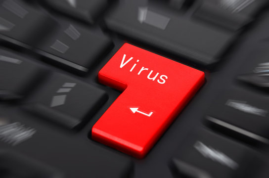 Virus