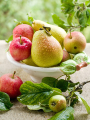 fruits