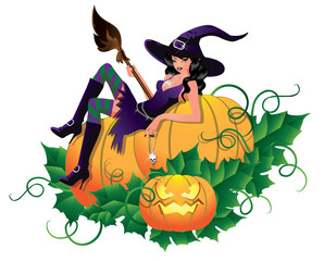 Sexy witch  with pumpkin, vector illustration