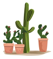 Glasschilderij Cactus in pot Cactus