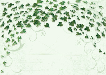 ivy background