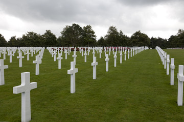 Fototapeta na wymiar American Cemetery Colleville-sur-Mer - Francja 2011